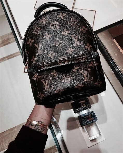 Stolen Louis Vuitton Bag 